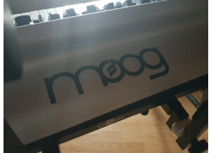 Moog Music SUB 37 (17737)
