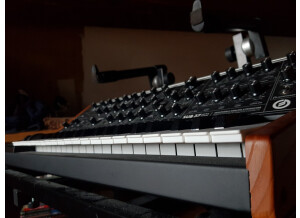 Moog Music SUB 37 (23767)