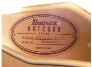 Ibanez AS-103 NT Artcore Custom