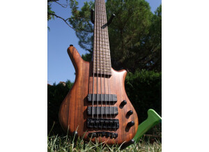 Warwick Thumb Bass 6c