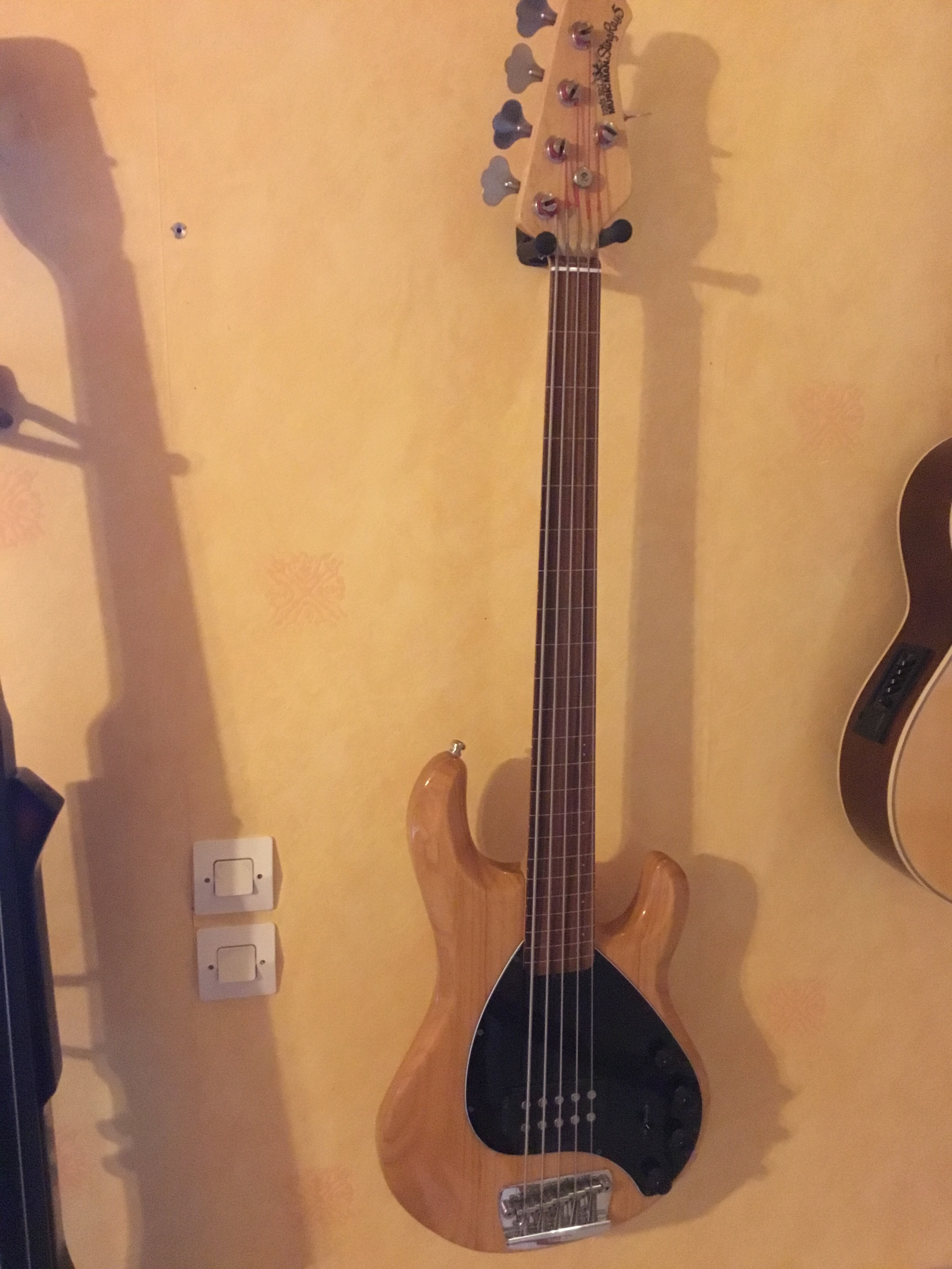 Music Man StingRay 5 Fretless