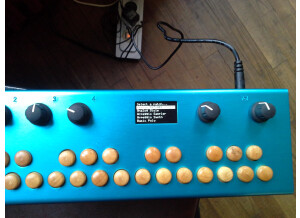 Critter and Guitari Organelle (75264)