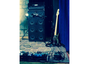 Fender Bassman 300 Pro (8830)