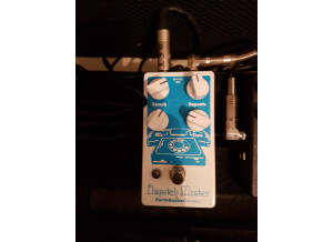EarthQuaker Devices Dispatch Master V2 (96060)