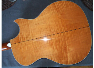 Taylor 614 CE Quilted maple