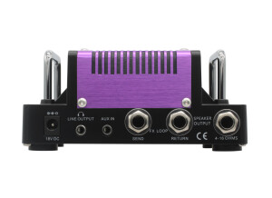 Hotone Audio Purple Wind (Connectique Arrière)