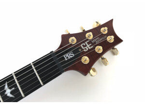 PRS SE Mikael Akerfeldt - Tortoise Shell (66125)