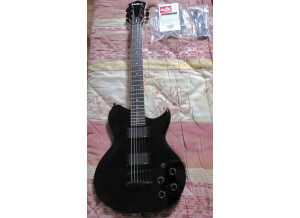 Washburn WI200 Pro EB