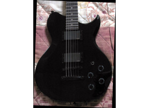 Washburn WI200 Pro EB