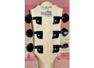 Washburn WI200 Pro EB