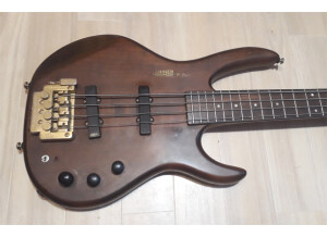 Hohner BBASSIV (61655)