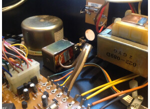 Roland RE-150 Space Echo (38765)