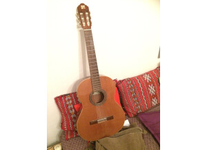 Alhambra Guitars 1C A
