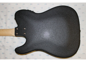 Fender Standard Telecoustic Paisley (38628)