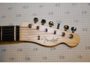 Fender Standard Telecoustic Paisley (27366)