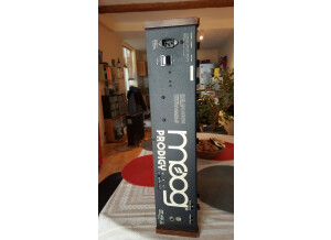 Moog Music Prodigy (35403)