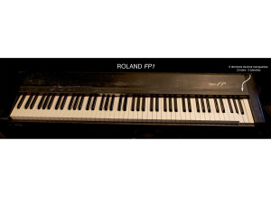 Roland FP-1 (81150)