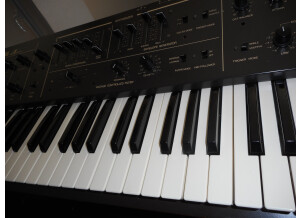 Korg Delta (31305)