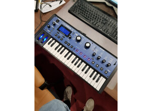 29027212 580787322273596 4950121916569485312 n