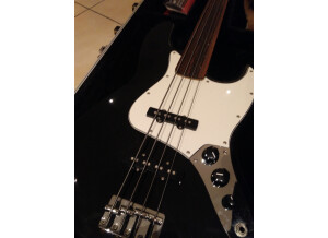 Fender Standard Jazz Bass Fretless [2009-2017] (70825)
