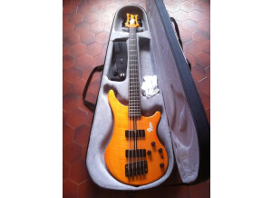 Vigier Basse Arpège