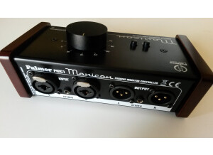 Palmer Monicon (87728)