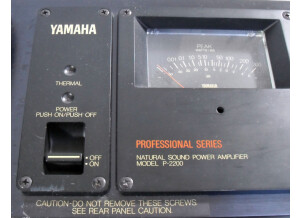 Yamaha P2200 (3951)