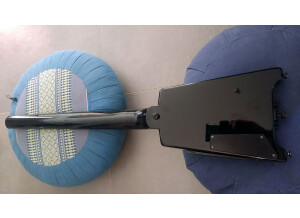 Steinberger Spirit GT-PRO Standard - White (68344)