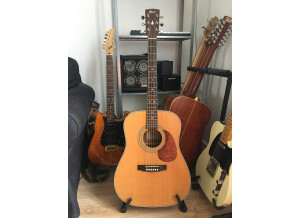 Cort Earth70 (67157)