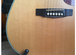 Cort Earth70 (49900)