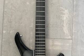 Vigier Passion Custom