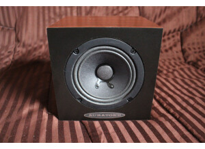 Auratone 5C Super Sound Cube (2014) (10254)