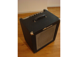 Ampeg B-100R (2642)