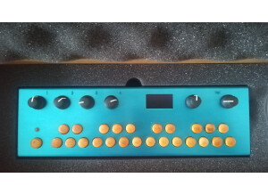 Critter and Guitari Organelle (44023)