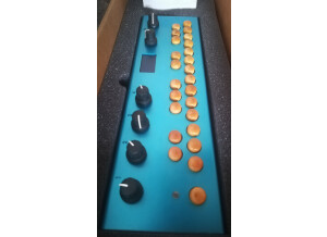 Critter and Guitari Organelle (29469)