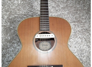 L.R. Baggs M1 (34562)