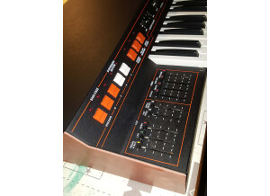 Moog Music The Source (1453)