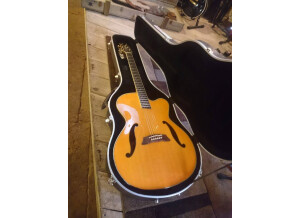 Fender Eric Clapton Signature Stratocaster (56229)