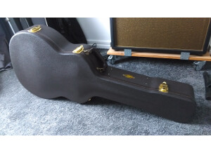 Taylor 814ce (39313)