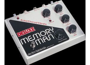 Electro-Harmonix Deluxe Memory Man