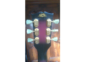 Gibson Les Paul Studio Custom (47504)