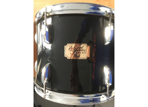 Pearl EX 12"x09" system ISS (17049)