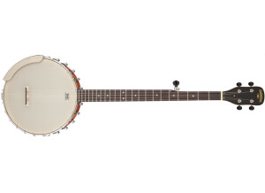 Gretsch G9450 "Dixie" 5-String Open Back Banjo