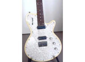Godin Radiator (6202)