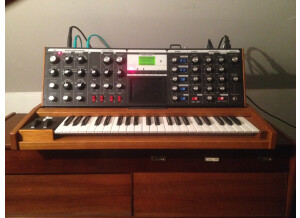 Moog Music Minimoog Voyager Performer Edition (27590)