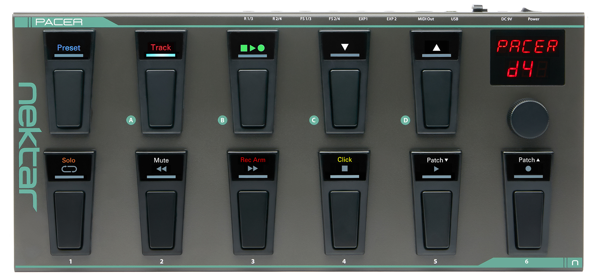 Nekar Pacer BirdsEye