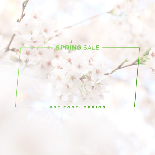 Diginoiz Spring Sale