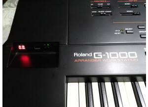 Roland G-1000 (48236)