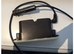 L.R. Baggs M1 Active (48540)