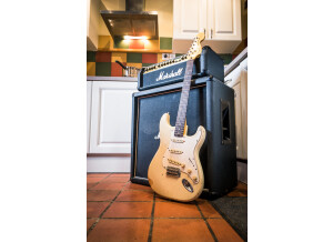 Marshall 8100 ValveState 100V (7894)